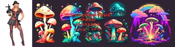 хмурый Абаза
