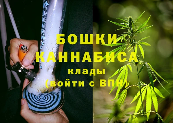 метадон Алексин
