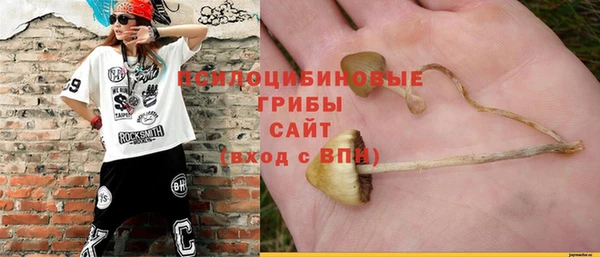спиды Алексеевка