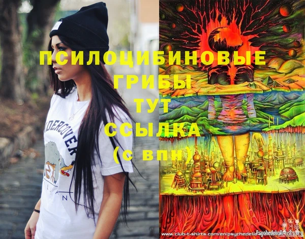 бошки Абдулино