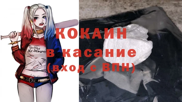 хмурый Абаза