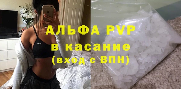 хмурый Абаза