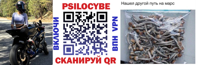 Галлюциногенные грибы Psilocybe  Нюрба 